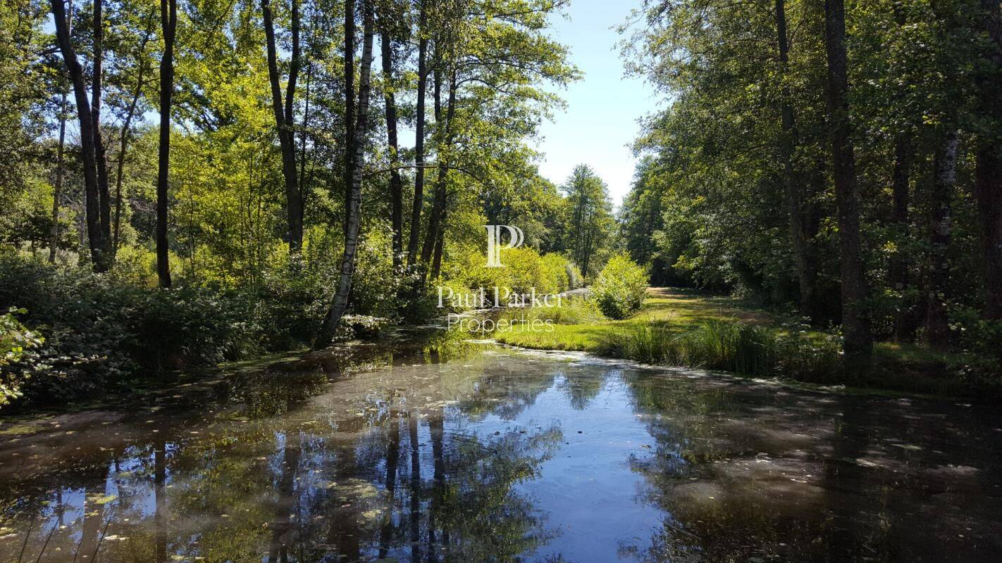 Maison 30 pièces 835 m² · à Argent-sur-Sauldre · 835 m² · 2 014 000 €