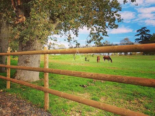 Maison à vendre 1 399 950 € 6 pièces 4 chambres 240 m² 60 000 m² de terrain Villemer 77250