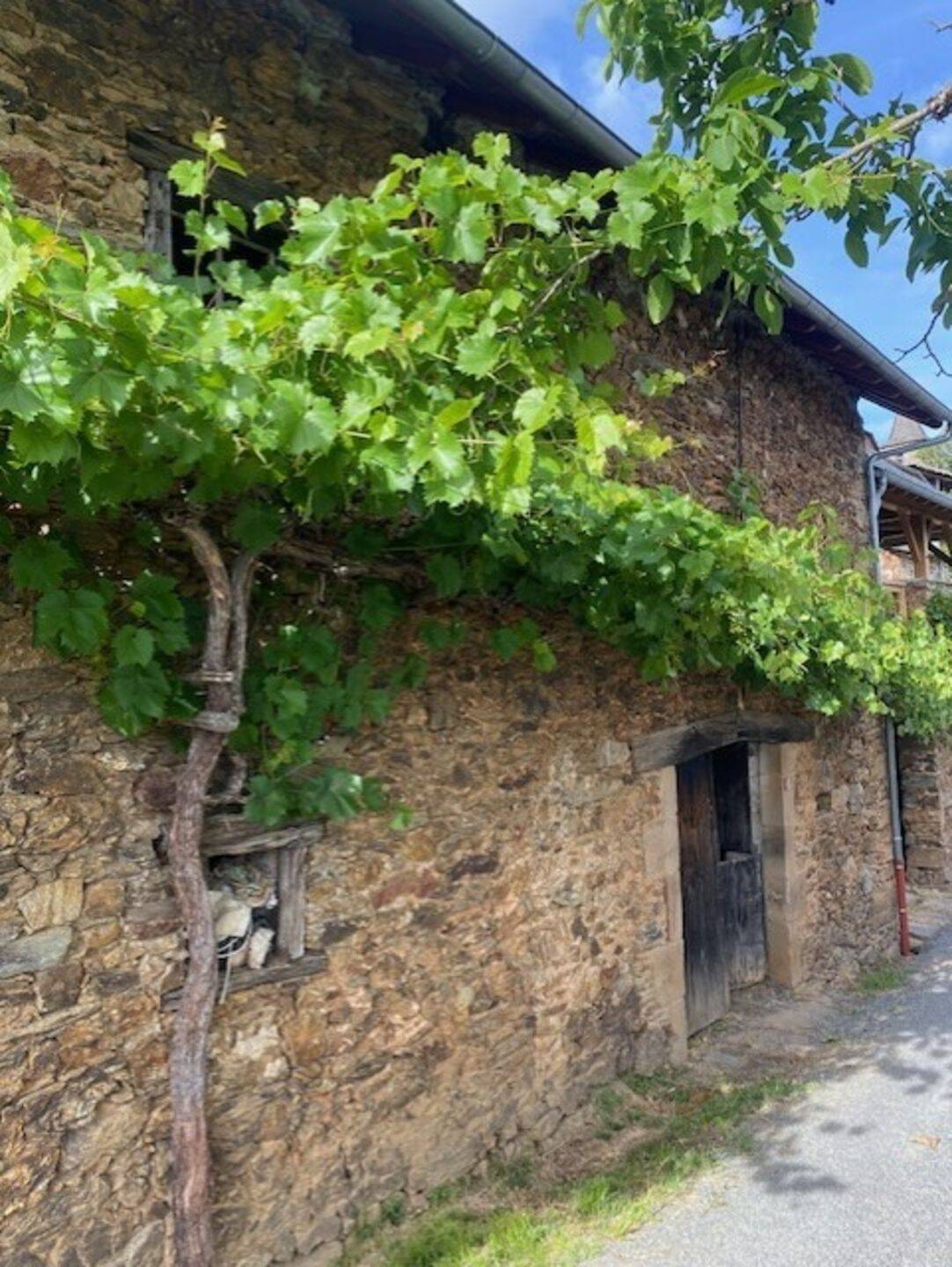 Maison 2 pièces 120 m² · à Pruines · 120 m² · 175 000 €
