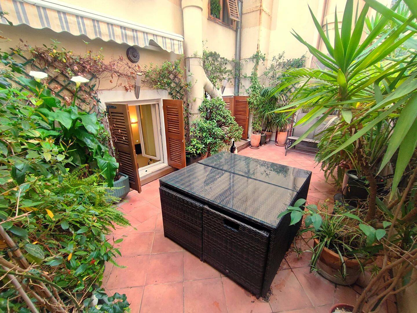 Grand studio avec terrasse 50 m² – Bail étudiant — 1