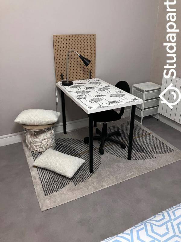 Appartement 2 pièces 27 m² · à Le Puy-en-Velay · 27 m² · 450 €