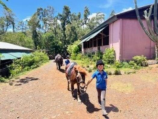 Boutique à vendre Fonds de commerce 1 090 000 € 15 026 m² de surface de vente Saint-Denis 97400