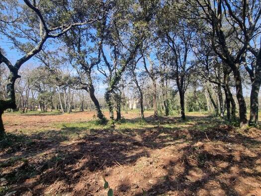 Terrain à vendre 190 000 € 940 m² de terrain Uzès 30700