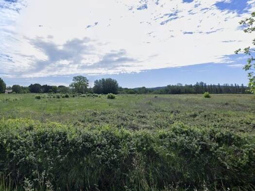 Terrain constructible à vendre 84 900 € 299 m² de terrain Ouest Coursan 11110