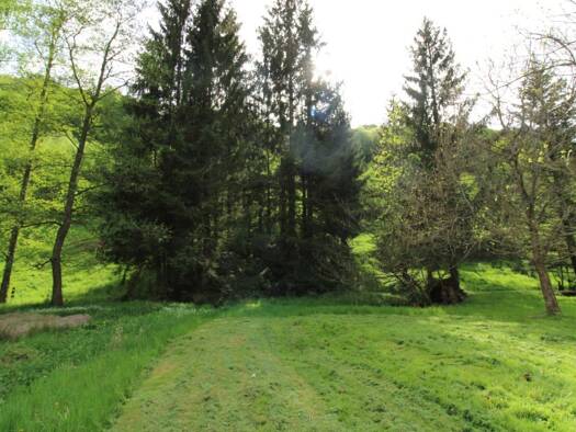 Terrain constructible viabilisé à vendre 28 000 € 453 m² de terrain Frohmuhl 67290