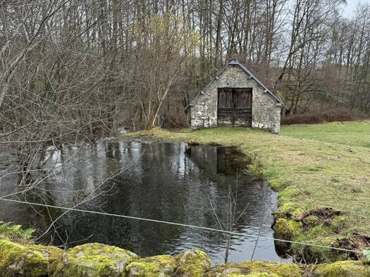 Propriété à vendre 45 000 € 1 pièce 1 chambre 30 m² 43 140 m² de terrain Grandsaigne 19300