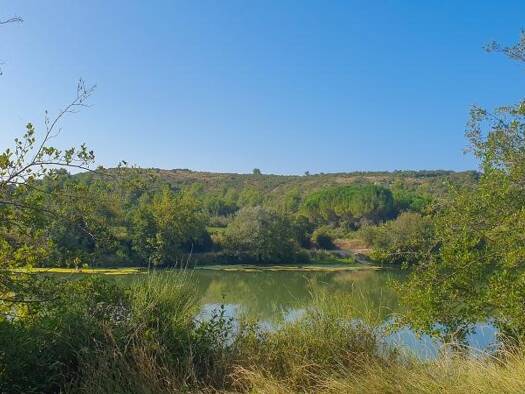 Terrain constructible viabilisé à vendre 167 900 € 450 m² de terrain Centre Ville-Mairie Lunel 34400