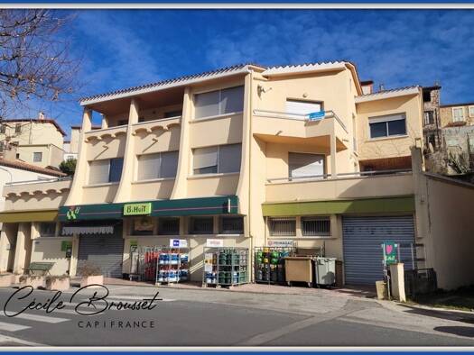 Immeuble à vendre 368 000 € 570 m² Saint-Laurent-de-Cerdans 66260