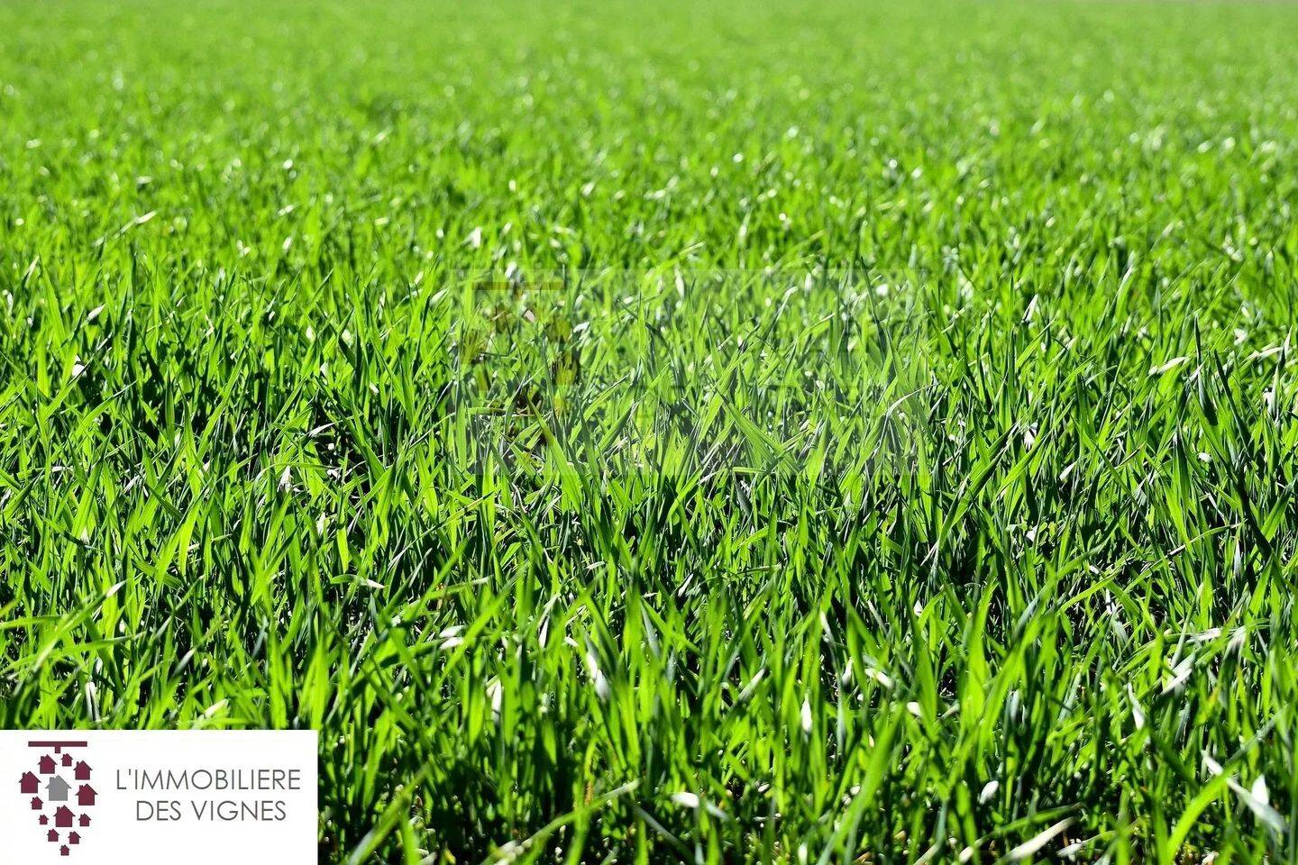 Terrain de 683 m² à Martillac - photo 2