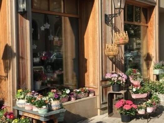 Boutique à vendre Fonds de commerce 74 000 € 1 pièce 200 m² de surface de vente Centre Nord Cernay 68700