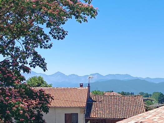 Immeuble à vendre 119 000 € 233 m² Fabas 09230