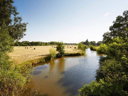 Maison en viager libre Bouquet 324 000 € 10 pièces 5 chambres 191 m² 1 000 m² de terrain Saint-Maixent-sur-Vie 85220