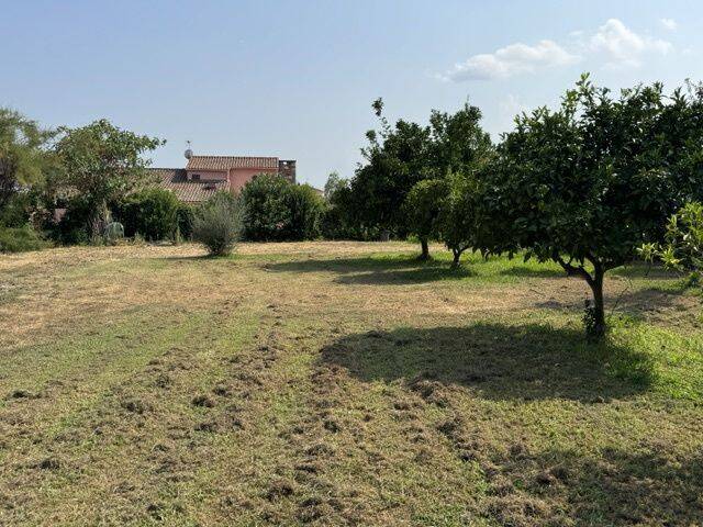 Terrain de 606 m² à Prunelli-di-Fiumorbo - photo 2