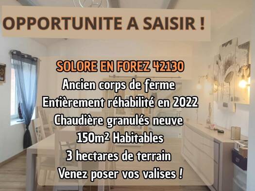 Maison à vendre 287 000 € 5 pièces 3 chambres 210 m² 30 000 m² de terrain Usson-en-Forez 42130
