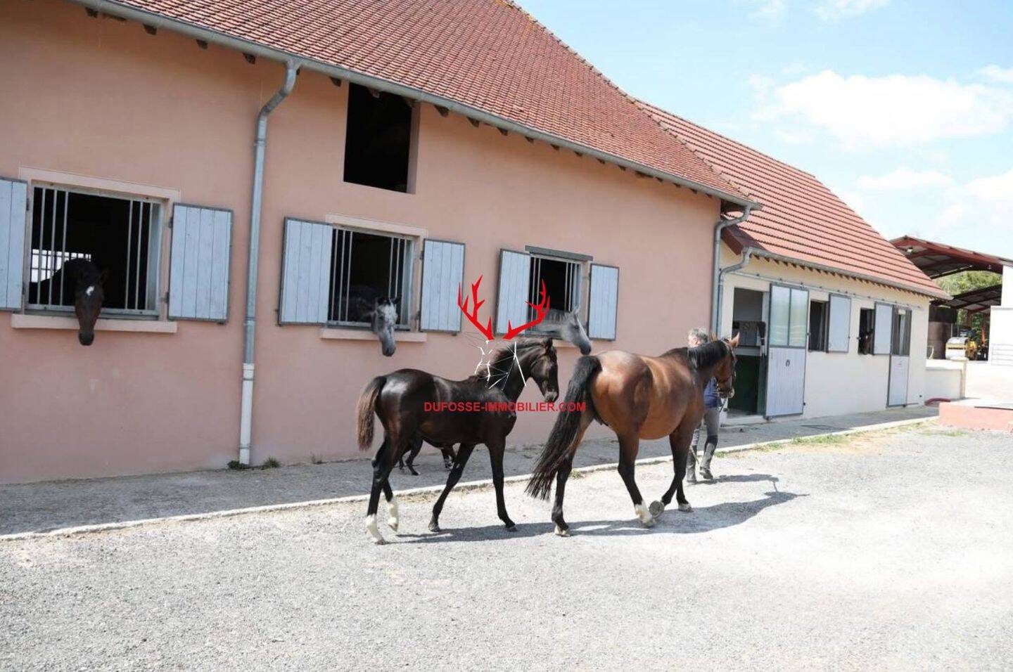 Maison 6 pièces 229 m² · à Louhans · 229 m² · 1 100 000 €