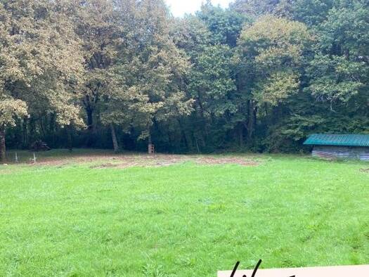 Terrain constructible à vendre 87 000 € 12 800 m² de terrain Sainte-Colombe 40700