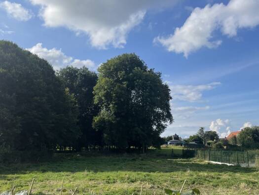 Terrain à vendre 25 000 € 737 m² de terrain Croix-Caluyau 59222