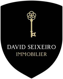 DAVID SEIXEIRO IMMOBILIER logo