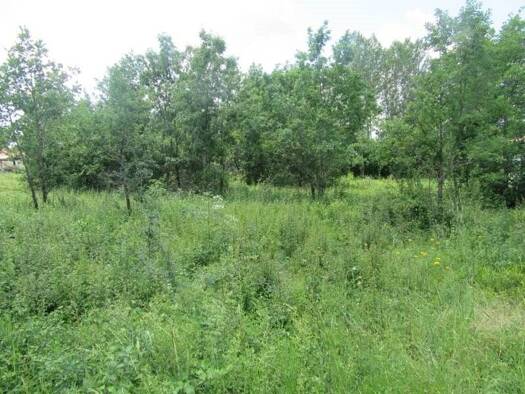 Terrain constructible à vendre 23 828 € 1 046 m² de terrain Montdoumerc 46230