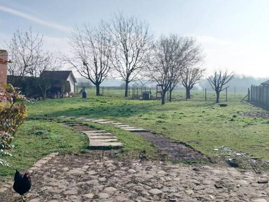 Terrain constructible à vendre 114 000 € 961 m² de terrain Capelle-Fermont 62690