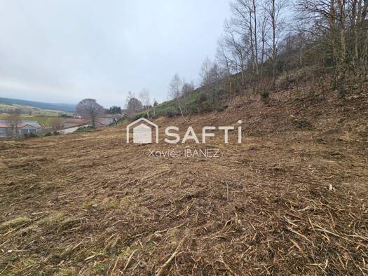 Terrain constructible à vendre 35 000 € 5 246 m² de terrain Chanaleilles 43170