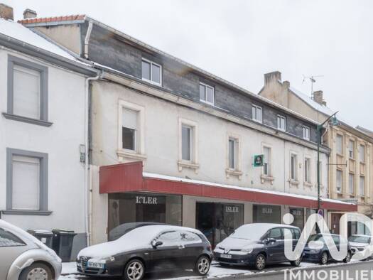 Immeuble à vendre 390 000 € 750 m² Sainte Marie-Hessellach Freyming-Merlebach 57800
