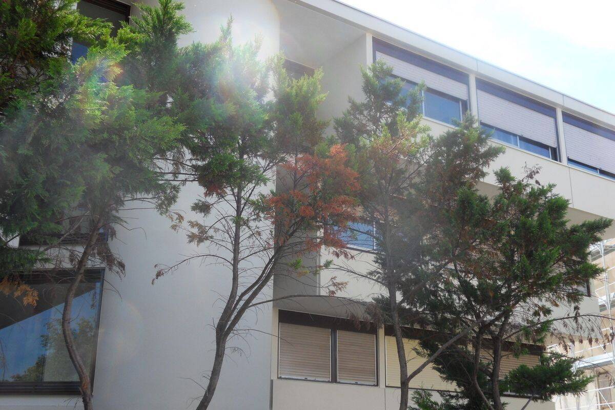 Appartement 1 pièce 27 m² · à Montpellier · 26,9 m² · 640 €