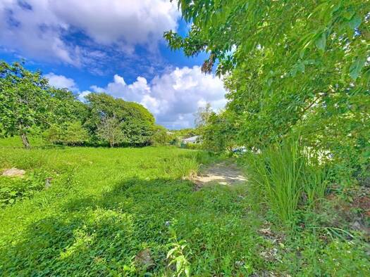 Terrain constructible à vendre 132 000 € 761 m² de terrain Morne-à-l'Eau 97111