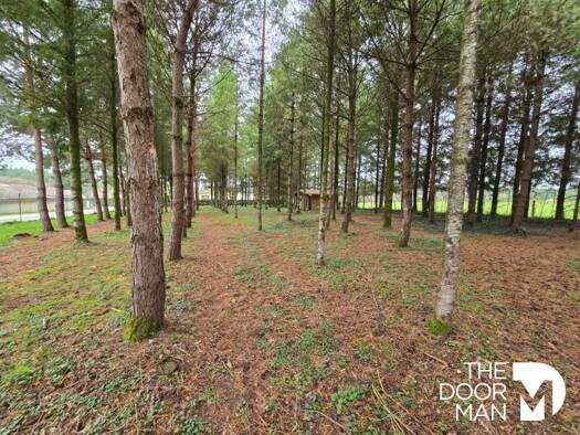 Propriété de loisirs à vendre 28 000 € 2 670 m² de terrain Biesles 52340