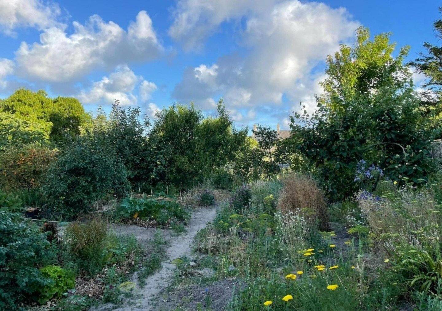 Maison 3 pièces 52 m² · à Regnéville-sur-Mer · 52 m² · 315 000 €