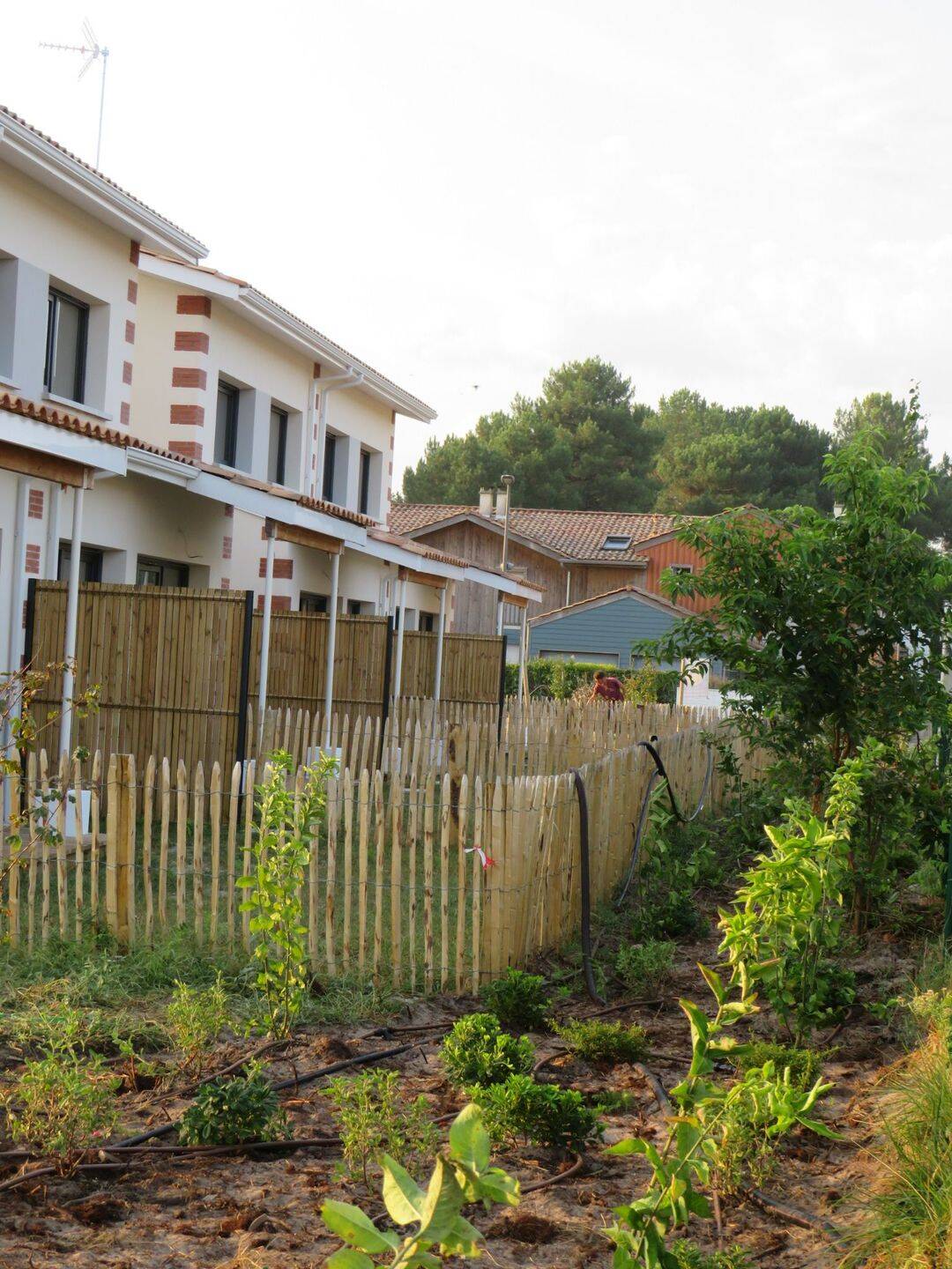 Maison 3 pièces 71 m² · à Audenge · 71 m² · 319 000 €