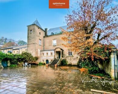 Château en viager occupé Bouquet 900 000 € 9 pièces 3 chambres 260 m² 3 090 m² de terrain Rodemack 57570