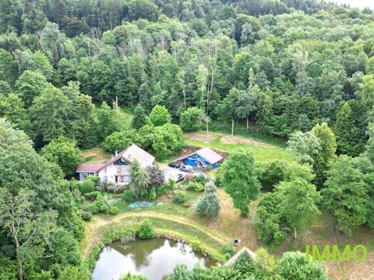 Villa à vendre 710 000 € 20 pièces 9 chambres 333 m² 21 130 m² de terrain Fresse 70270