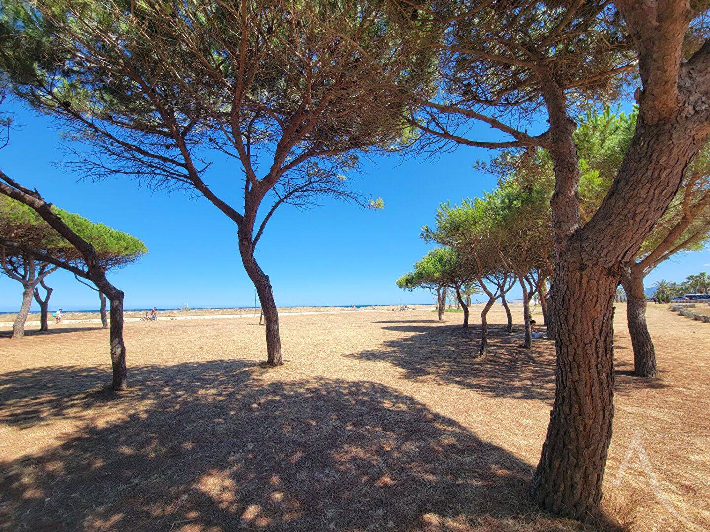 Appartement 2 pièces 46 m² · à Saint-Cyprien · 45,8 m² · 149 000 €