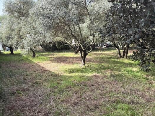 Terrain constructible viabilisé à vendre 325 000 € 529 m² de terrain Centre Ville Castries 34160