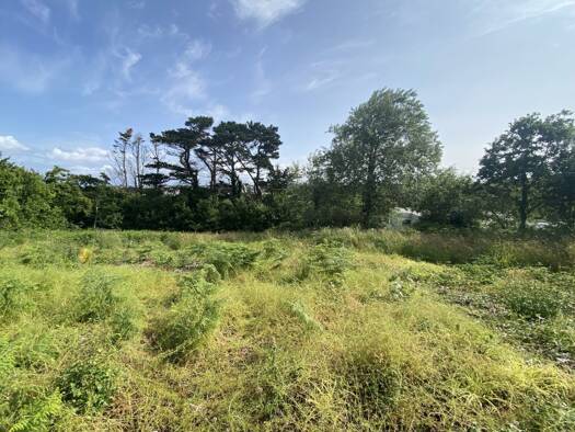 Terrain à vendre 85 000 € Plouarzel 29810