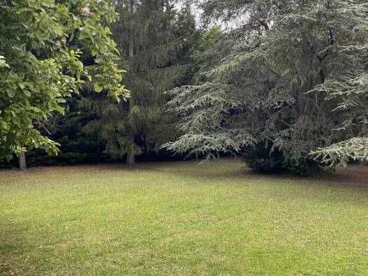 Terrain constructible viabilisé à vendre 540 000 € 530 m² de terrain Nord Ouest Le Mesnil-le-Roi 78600