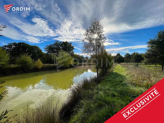 Terrain constructible viabilisé à vendre 59 000 € 6 488 m² de terrain Saint-Fargeau 89170