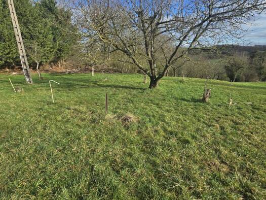 Terrain à vendre 126 000 € 3 032 m² de terrain Morville-sur-Seille 54700