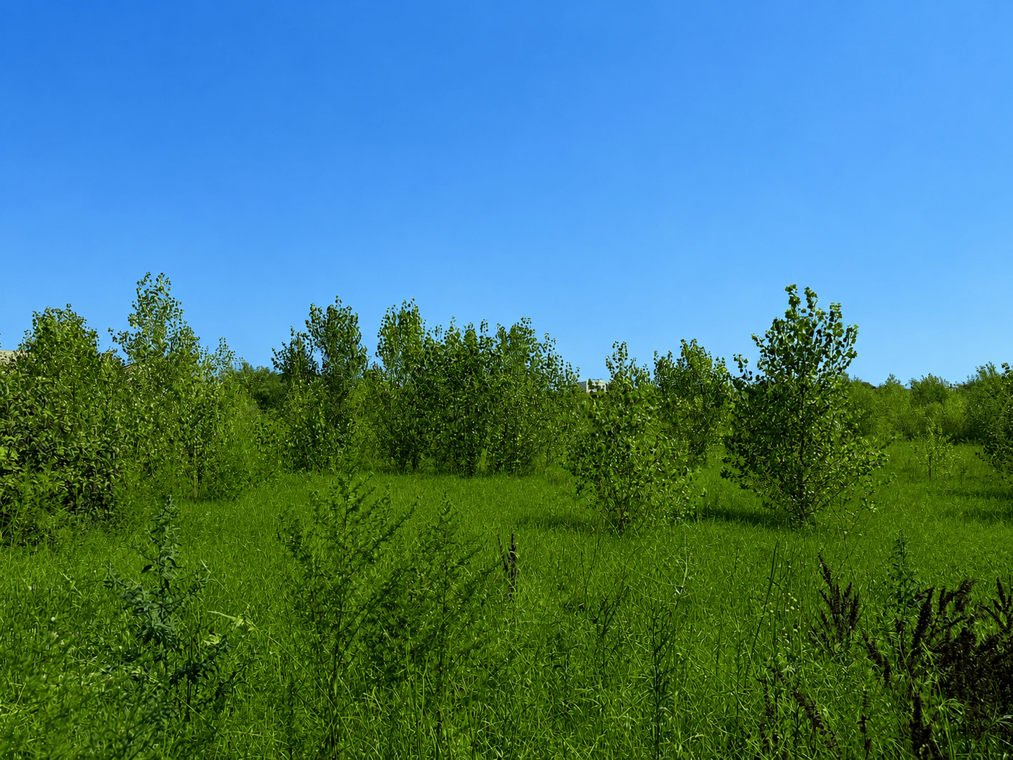 Terrain de 281 m² à Bourg-Saint-Andéol - photo 2