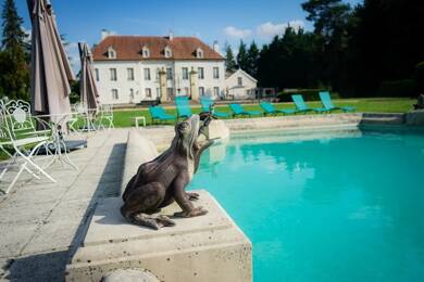Château à vendre 3 900 000 € 20 pièces 19 chambres 1 242 m² 56 125 m² de terrain Chevannes 89240