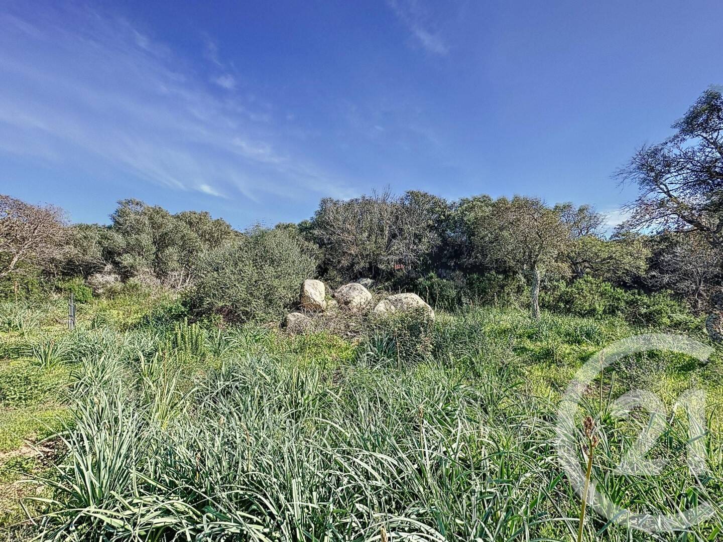 Terrain de 697 m² à Porto-Vecchio - photo 2