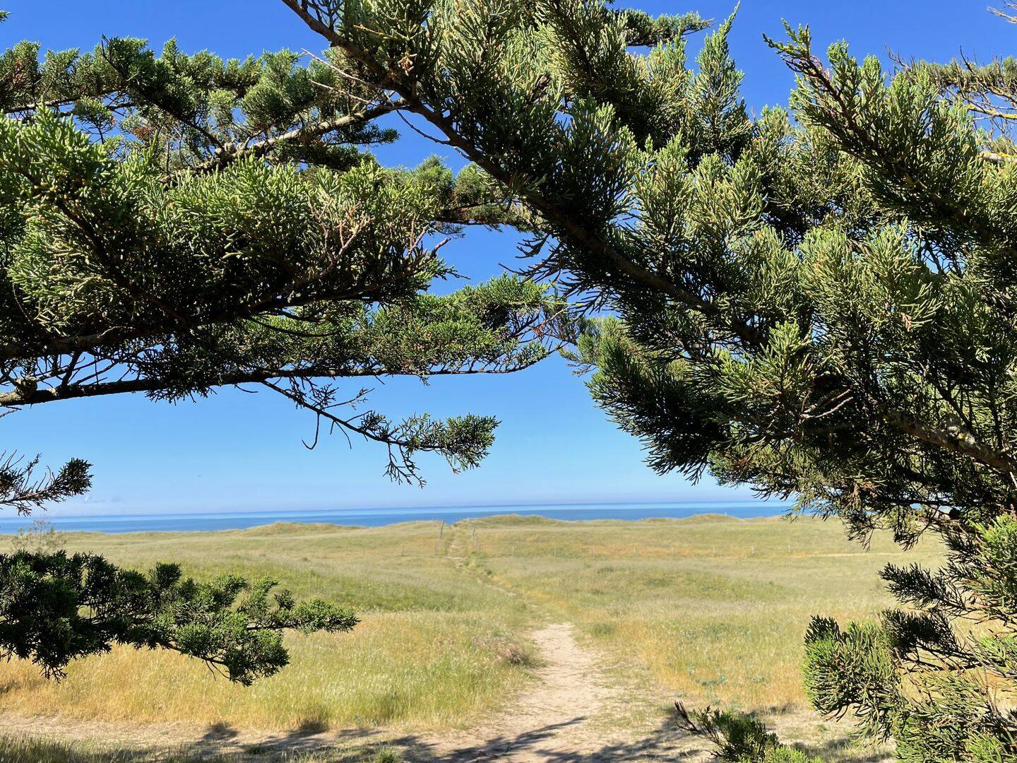Maison 5 pièces 100 m² · à Noirmoutier-en-l'Île · 100 m² · 563 000 €