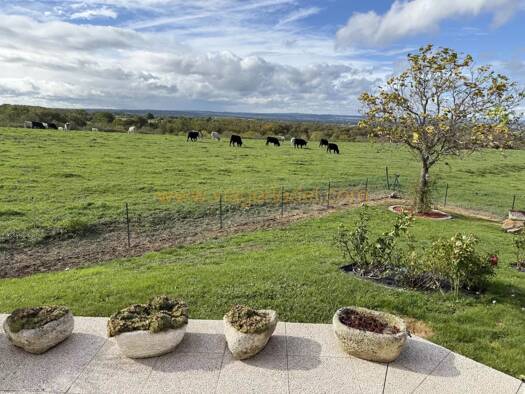 Maison en viager occupé Bouquet 76 500 € 4 pièces 3 chambres 101,1 m² 1 372 m² de terrain Néris-les-Bains 03310