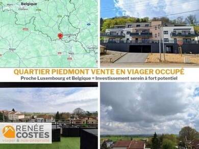 Appartement en viager occupé Bouquet 35 593 € 1 pièce 47 m² Étage 2/3 Gare-Gambetta-Piemont Mont St Martin 54350