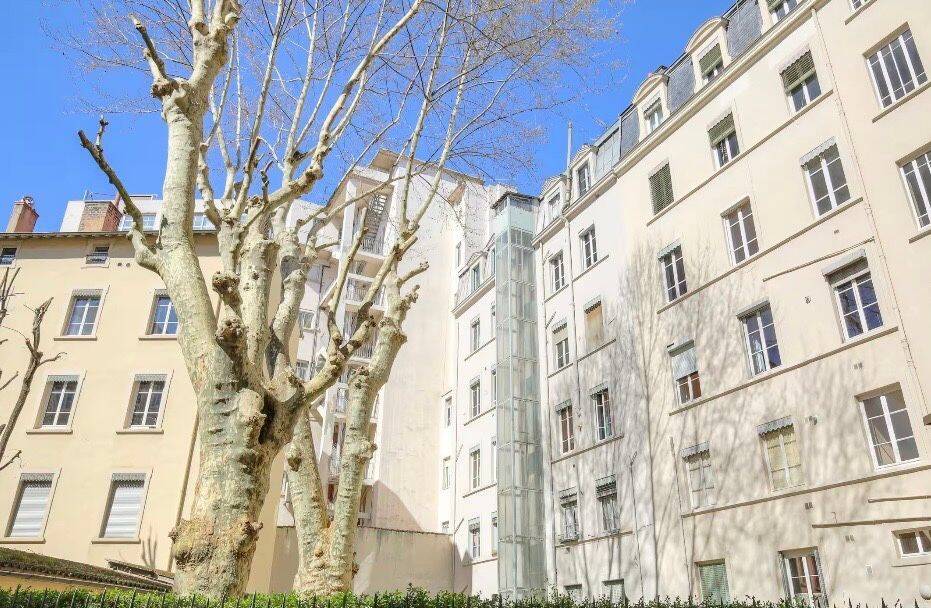 Appartement 2 pièces 25 m² · à Lyon 2ème Arrondissement · 25 m² · 1 100 €