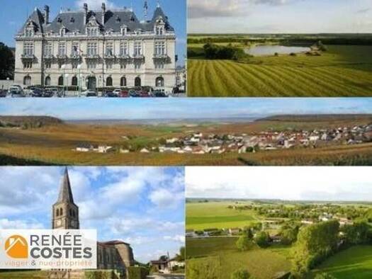 Maison en viager occupé Bouquet 16 720 € 3 pièces 2 chambres 68 m² 588 m² de terrain Les Charmontois 51330