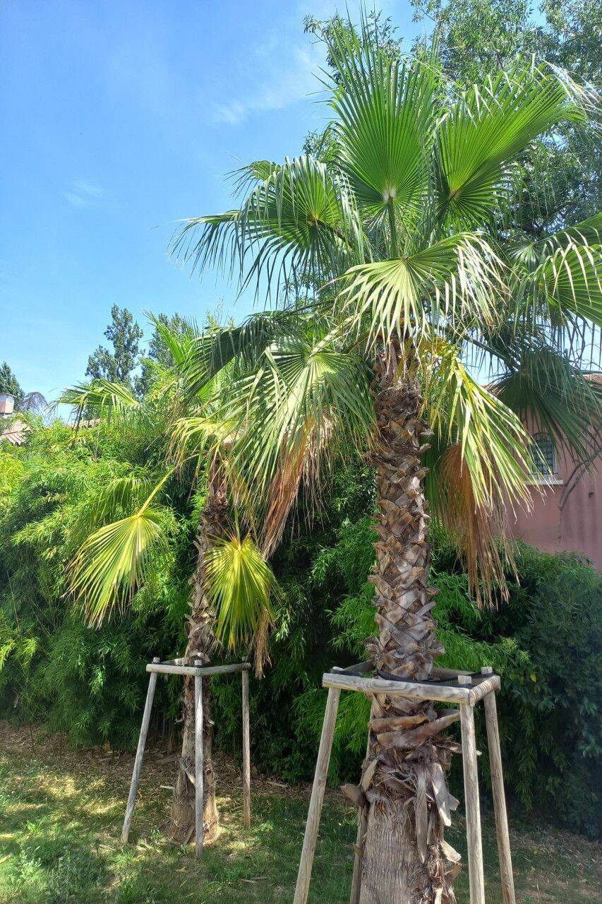 Appartement 3 pièces 61 m² · à Montpellier · 60,6 m² · 260 000 €