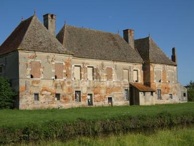 Château à vendre 650 000 € 12 pièces 11 chambres 750 m² 52 048 m² de terrain Serrigny-en-Bresse 71310