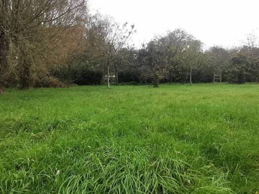 Terrain constructible à vendre 137 000 € 2 000 m² de terrain Colembert 62142